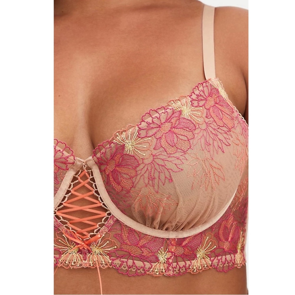 Torrid Underwire Embroidered Mesh Unlined Lace Longline Bra and Panty NWT - Picture 3 of 16
